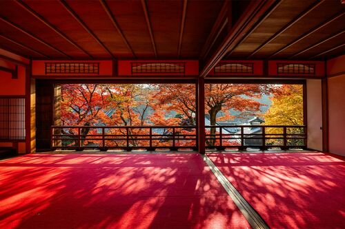 柳谷観音楊谷寺　撮影／稲田大樹
