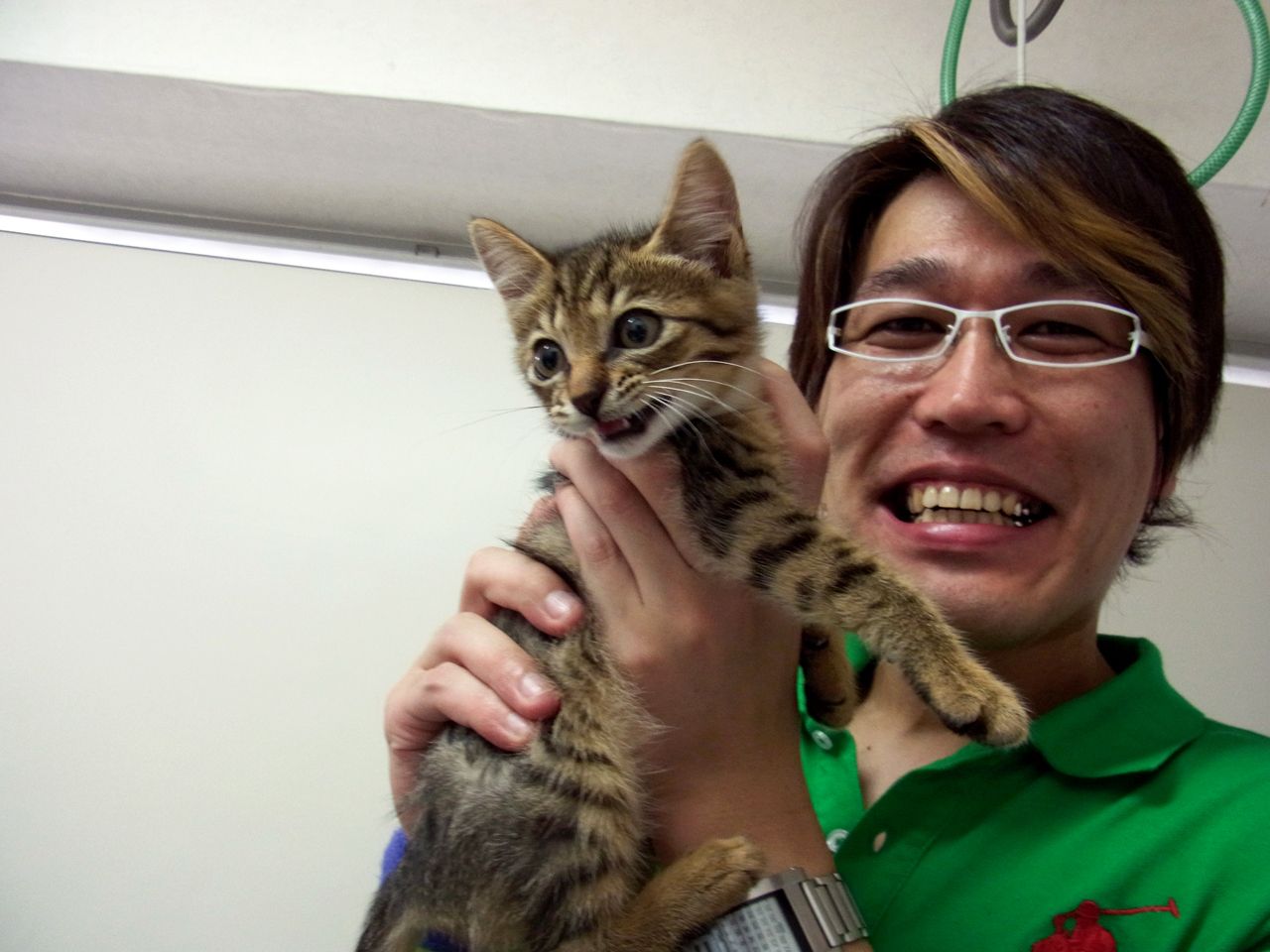 ピコ太郎のプロデューサー・古坂大魔王も大のねこ好き。飼いねこコマオーは、爆笑・田中が動物病院で見つけた（田中裕二の携帯のカメラロールより）