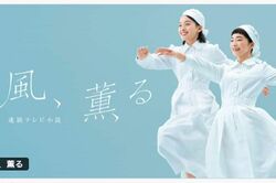 NHK朝ドラ『風、薫る』視聴率不振スタートも『花子とアン』仲間由紀恵・5歳子役・Aぇ! group佐野晶哉のクセ強キャラで沼る人続出
