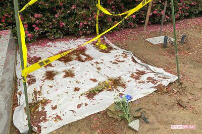 【ギャル写真入手】「人形が落ちている」乳児の遺体を寺に埋めたのは“住職の娘”、シングルマザーの苦悩