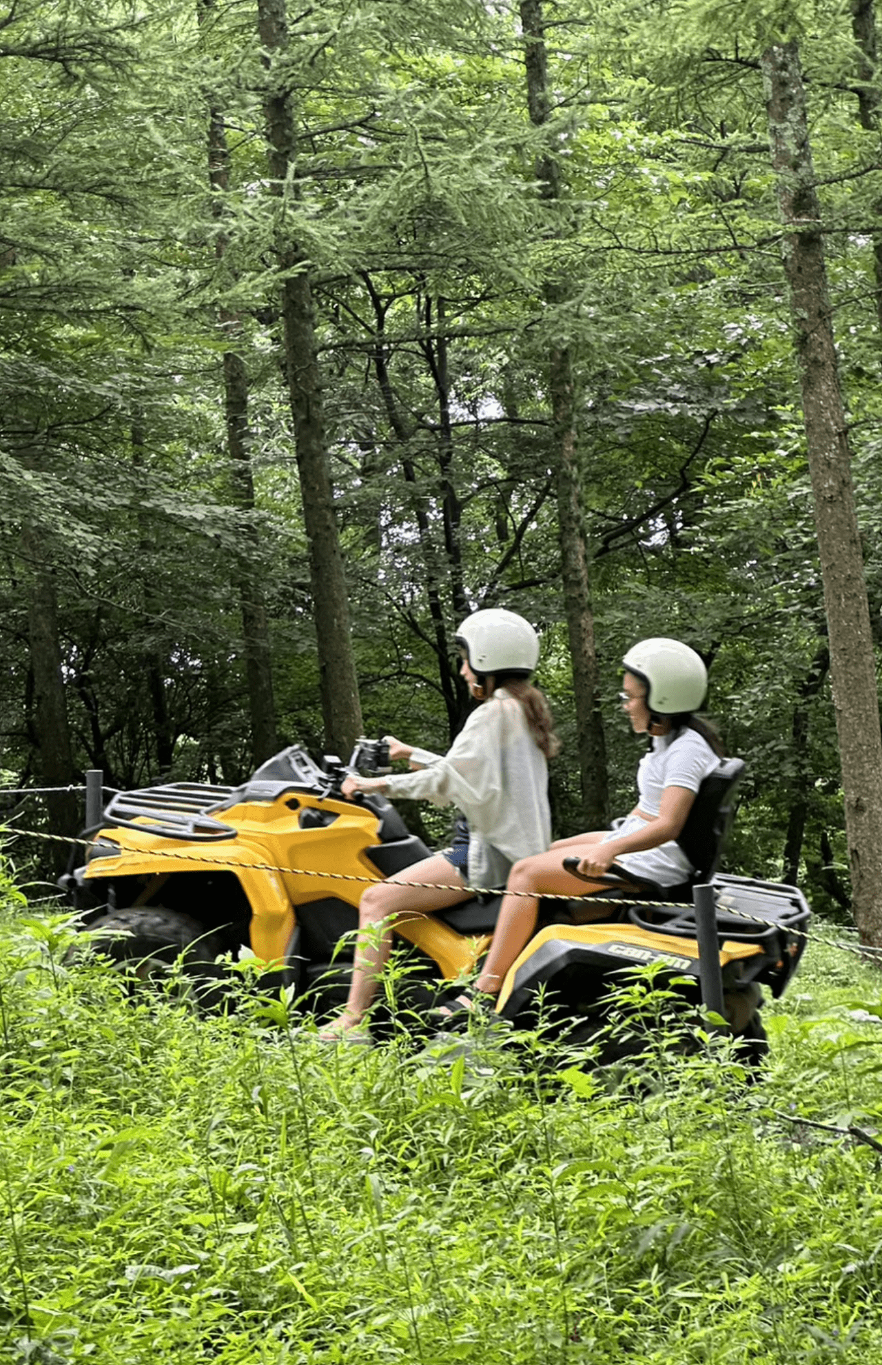 森の中をバギーで走って大興奮!