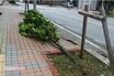 台風6号接近「返却より身の安全を優先して」『ゲオ』の“神対応”が話題に《こういう会社は信用できる》集まる称賛