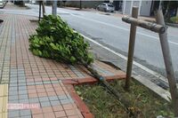 台風6号接近「返却より身の安全を優先して」『ゲオ』の“神対応”が話題に《こういう会社は信用できる》集…