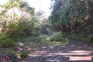 遺体の発見現場は人通りもなく夜は真っ暗に