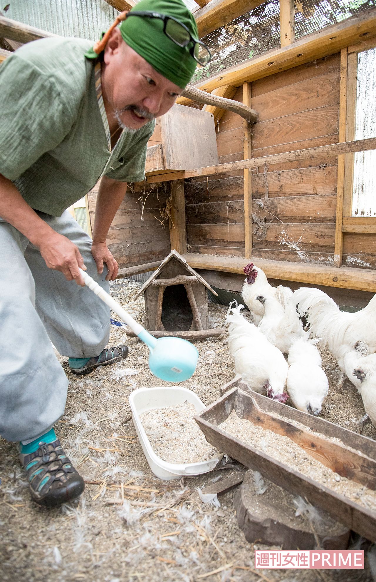 小屋の床に敷き詰められた落ち葉や籾殻に鶏の糞が混じれば、畑の肥料に　撮影／伊藤和幸