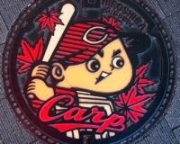 マンホールにハマる“マンホール女子”が増加中