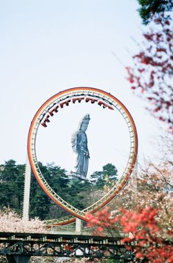 ※画像はイメージです