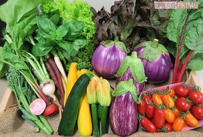 イタリア料理店0軒だった山形の田舎町が、イタリア野菜の名産地になったワケ