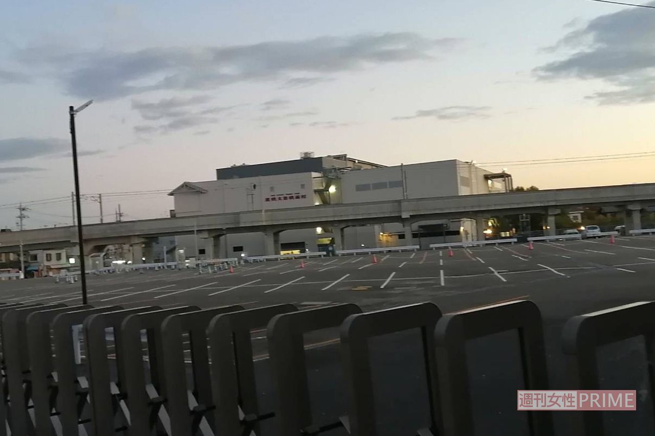 映画村の広大な駐車場。平日とはいえ空きが目立つ