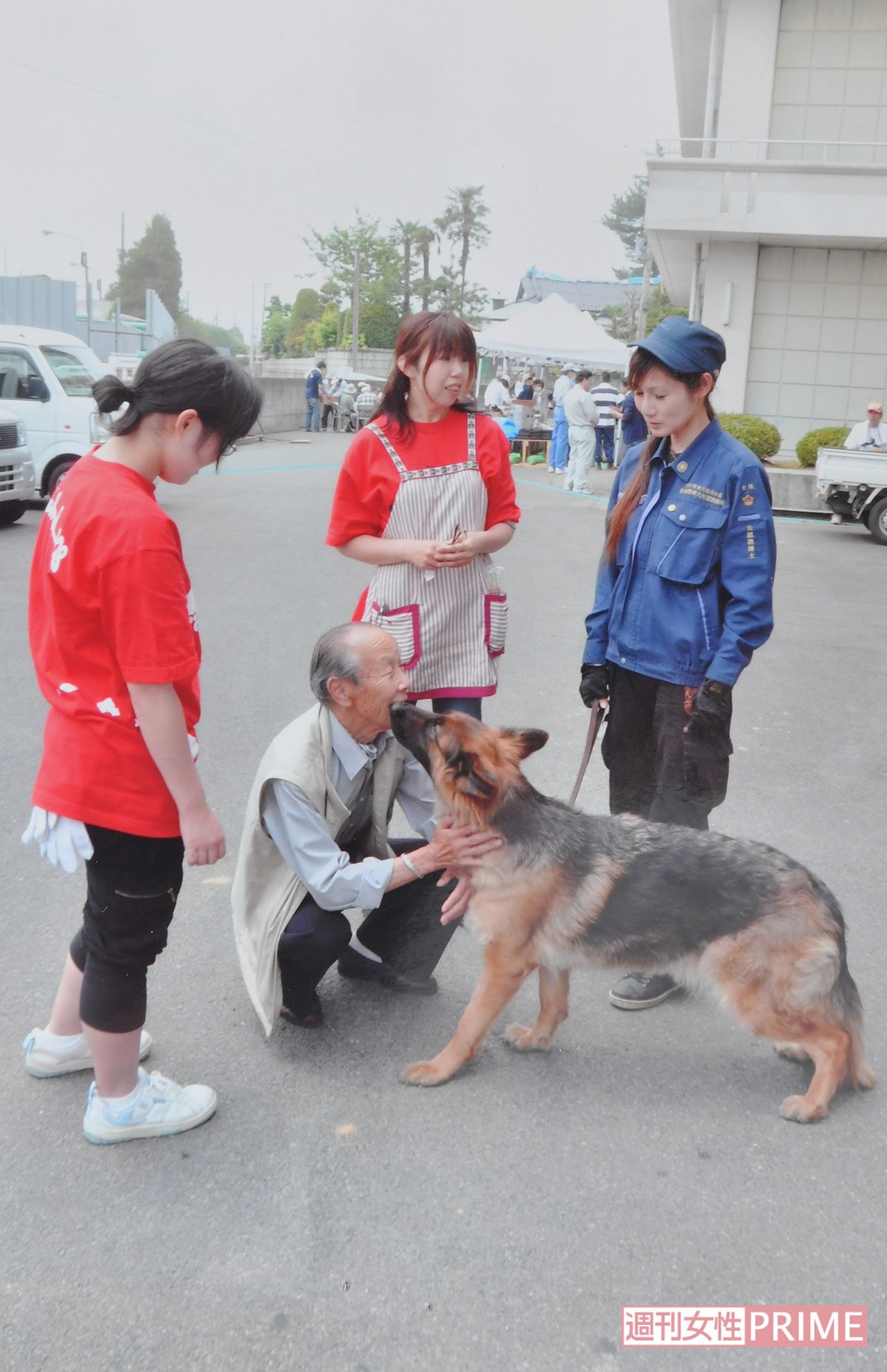 2011年、東日本大震災の避難所では「犬に癒されました」と感謝された