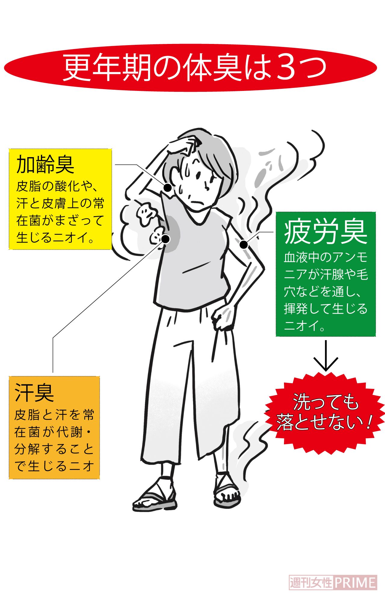 更年期の体臭は3つ（イラスト／上田英津子）
