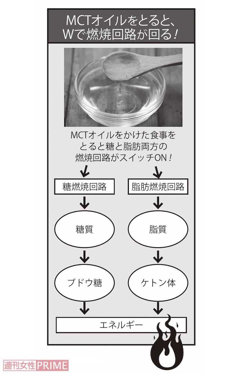 MCTオイルをとると、Wで燃焼回路が回る!