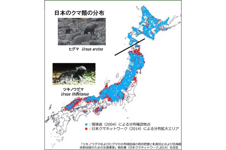 クマ類の分布（環境省資料より）