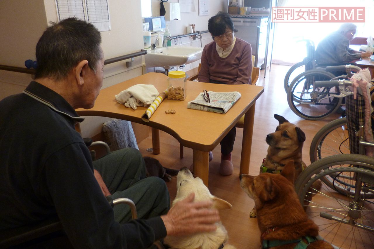 ペットと入れる特別養護老人ホーム「さくらの里山科」には、愛らしい犬猫がいっぱい!　ともに暮らす中で認知症の症状が改善された利用者も
