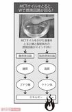 MCTオイルをとると、Wで燃焼回路が回る!