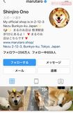 いつまでも見ていられる癒しのまる画像が満載のインスタ。動画もあり!