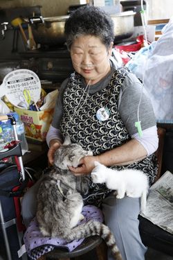 菊谷さんに撫でてもらい、気持ちよさそうなグレ子　撮影／竹内摩耶