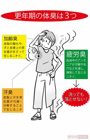 更年期の体臭は3つ（イラスト／上田英津子）