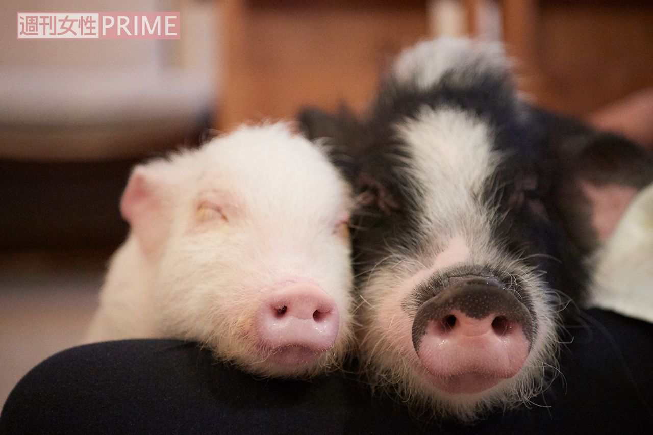 3階にいるのは、シオンくん（1歳2か月）とプラムーンちゃん（9か月）　撮影／山田智絵