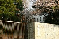 慶應幼稚舎のお受験、前哨戦は「幼稚舎同窓会」での挨拶から始まっている