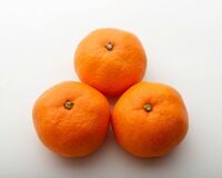 発熱のときには焼きみかん 皮ごと食べれば免疫力アップ