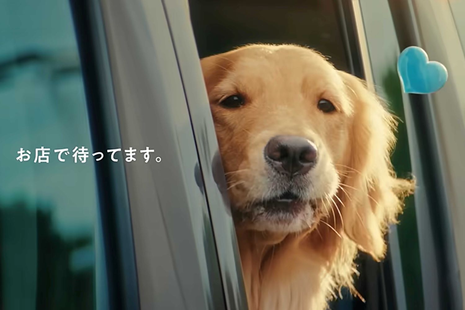 『WECARS（ウィーカーズ）』のCM（同社の公式YouTubeより）