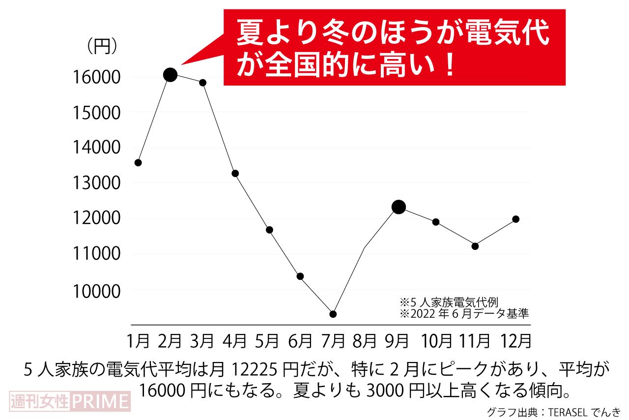 電気代、全国的に高くなるのは「冬」！　グラフ出典：TERASELでんき