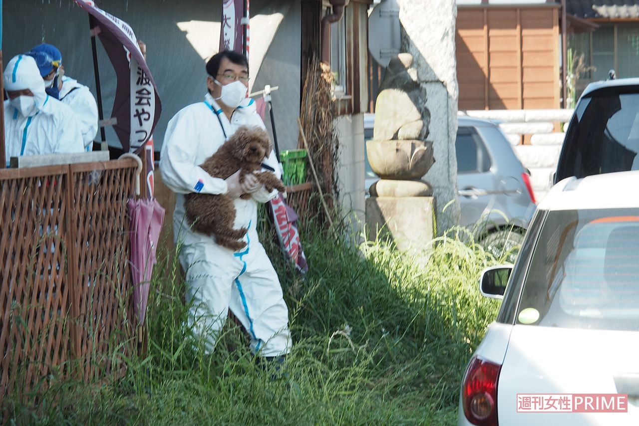 防護服を着た捜査員の手によって施設から犬や猫が次々に運び出されていった