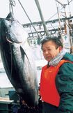 回遊するマグロを追って世界の漁場を移動。冬の北海道・松前で