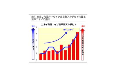 試験内容：20〜50代男女の足のニオイの強さ（折れ線グラフ）と、足の指の間から採取した汗中のニオイ物質の量（棒グラフ）の関係を調べた（ロート研究所実施）　出典：ロート製薬HPより