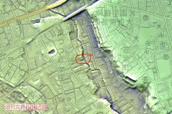 陥没と地中空洞があった現場（赤い枠内）は、谷に向かってへこんでいる地点を宅地造成しているという（高橋特任教授提供）