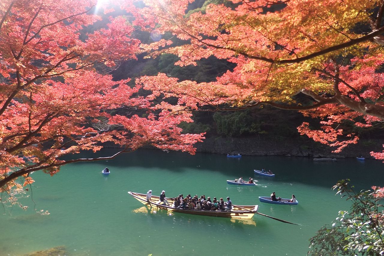 豊かな自然を感じる紅葉した木々と保津川の眺め。保津川下りを体験するならJR嵯峨野線亀岡駅が便利　撮影／村田博之