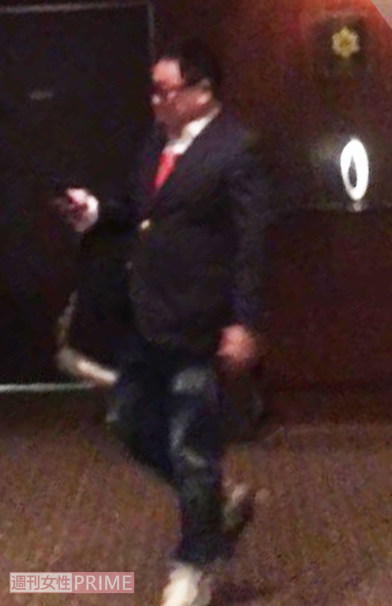 塚地武雅（1次会）