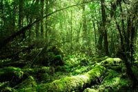 【心理診断】動物を選んでわかる、あなたがこれから飛ばす“ヒット”とは？