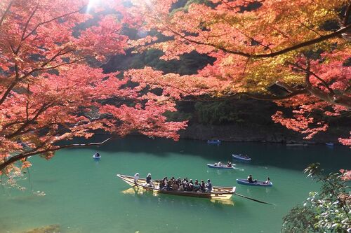 豊かな自然を感じる紅葉した木々と保津川の眺め。保津川下りを体験するならJR嵯峨野線亀岡駅が便利　撮影／村田博之