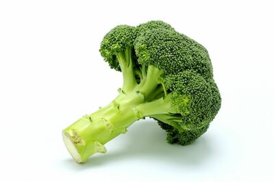 ブロッコリー　※画像はイメージです