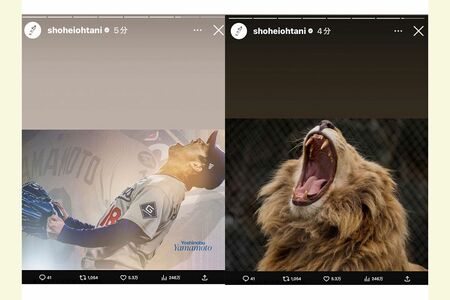 山本由伸を「ライオンいじり」した大谷翔平の投稿（本人のインスタグラムより）