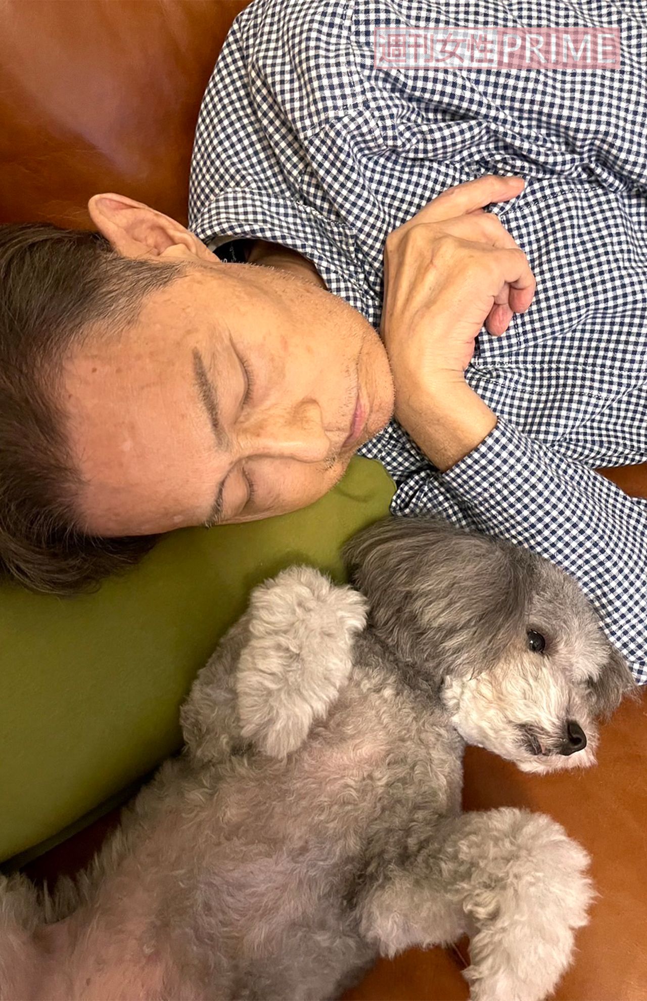 大好きな父さんと添い寝する茶子ちゃん　撮影／加藤綾菜