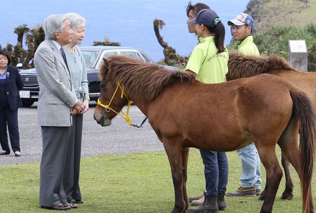 与那国馬とのご交流では「ほかの在来馬はどんな馬がいたかしら？」と質問も（3月28日）