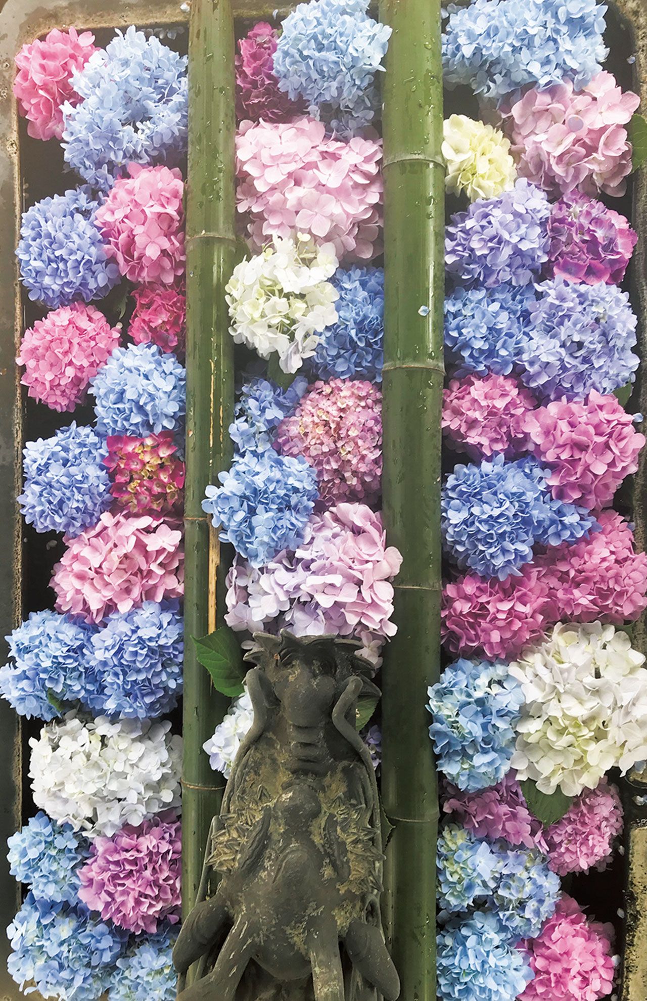 昨年6月。淡い色のあじさいをカラフルに。「これはラムネっぽいというか。スイーツをイメージして作りました」