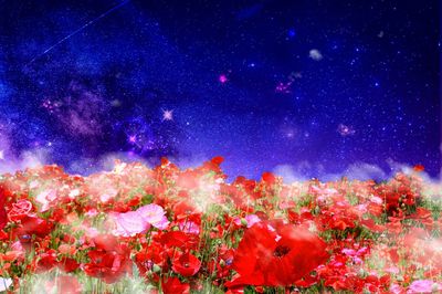 名医が語る“ご臨終”の世界、死の間際に「お花畑・三途の川」が見える確率