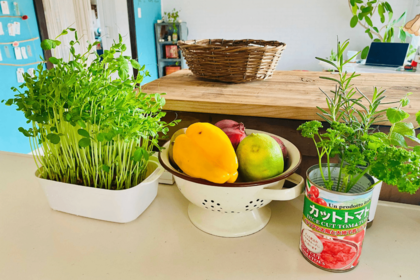 キッチンには食用と観賞を兼ねてハーブや豆苗を常備。「お花がなくてもホッコリしますし、そこそこ満足です」
