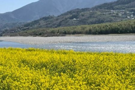 うつ病治療中は故郷で過ごした。今は時々子どもを連れて、自然を満喫。「故郷はいいですね」