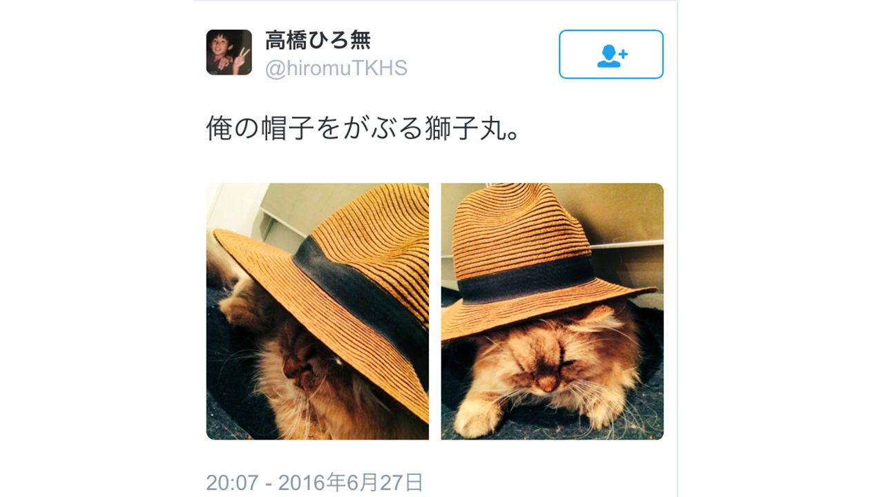 高橋のツイッターより。広田の飼い猫「獅子丸」と遊ぶ様子。同様のツイートが散見される