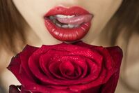 女の “毒と強欲の塊” に疲弊していくバチェラーが「矢部太郎に見えた」瞬間