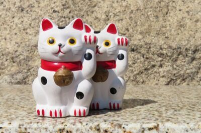 【知って楽しい雑学】招き猫のポーズ、左右で決まりがある？両手は「お手上げ」で避ける人も、意外なご利益