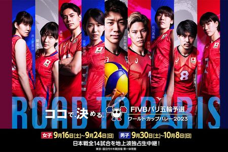 FIVBパリ五輪予選ワールドカップバレー2023公式サイトより