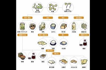 「九州まーめん」HPより。農林水産省「大豆食品一覧」