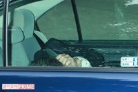 ＜猫虐待殺傷事件初公判＞駆除が一転、猫への復讐と残虐殺害動画が目的に