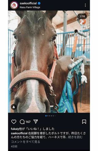 骨折した紗栄子の愛馬のボルト（本人インスタグラムより）
